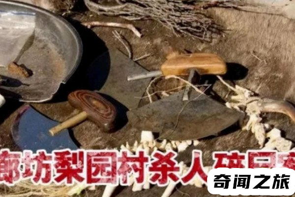 廊坊梨园村事件(女子出轨引发的事件)(1)_WWW.JUHAIHG.COM